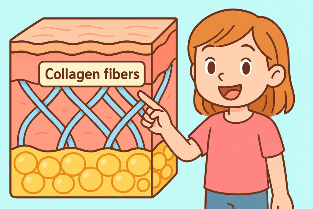 collagen